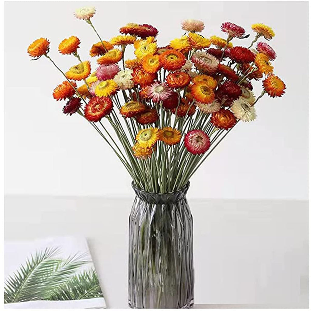 Vase filled with a colorful bouquet of dried daisies in shades of orange, yellow, red, and pink.