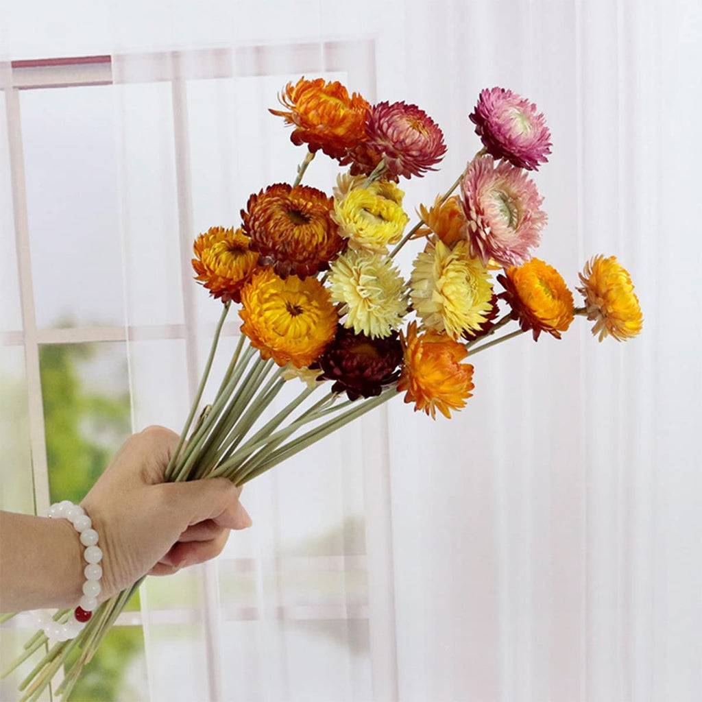 Hand holding a bouquet of colorful dried daisies with stems against a window with sheer curtains.