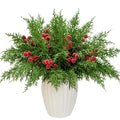Faux cedar pine branches with red berries in a white vase, isolated on white background.