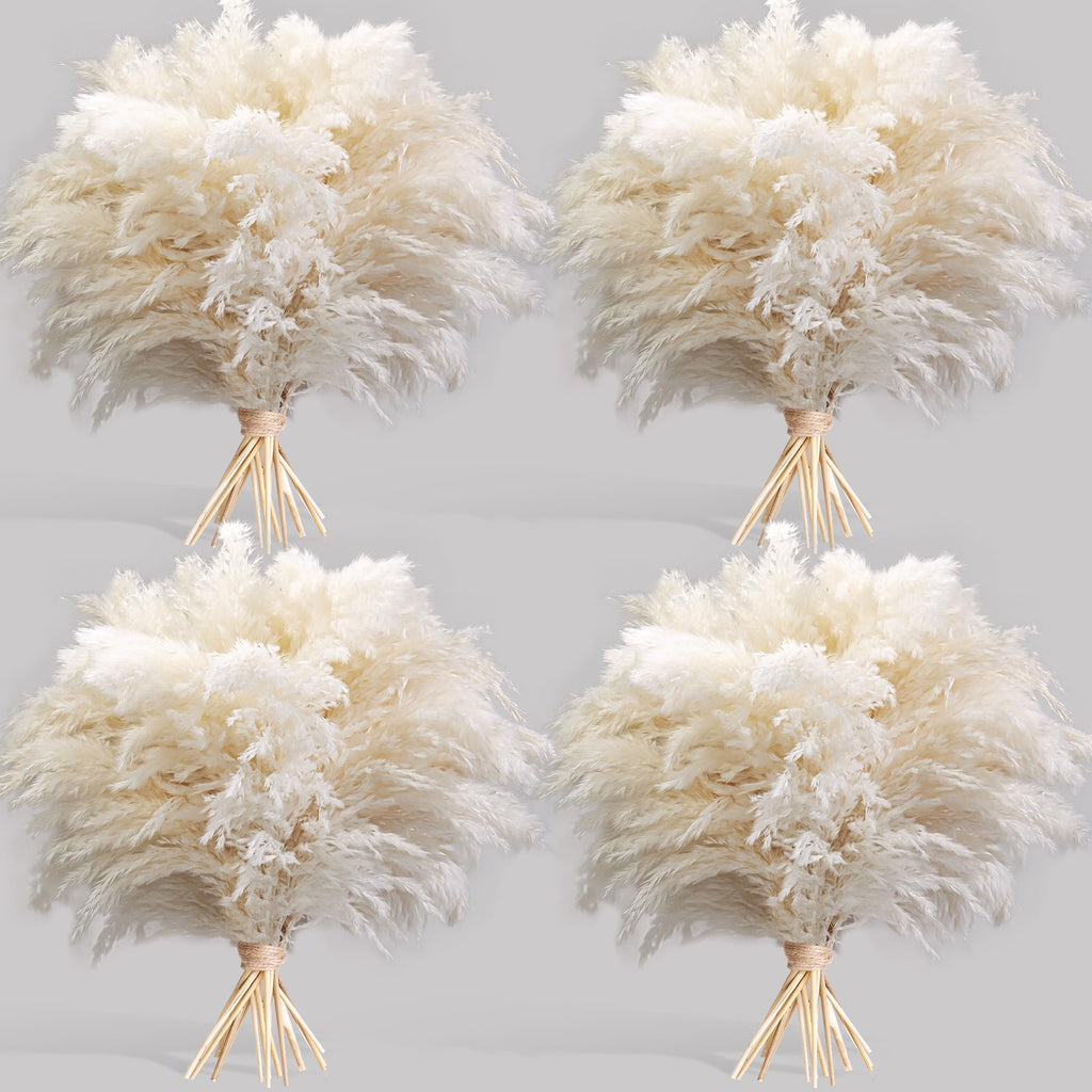 Four bouquets of dried white pampas grass tied with twine, arranged on a light gray background.