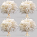 Four bouquets of dried white pampas grass tied with twine, arranged on a light gray background.