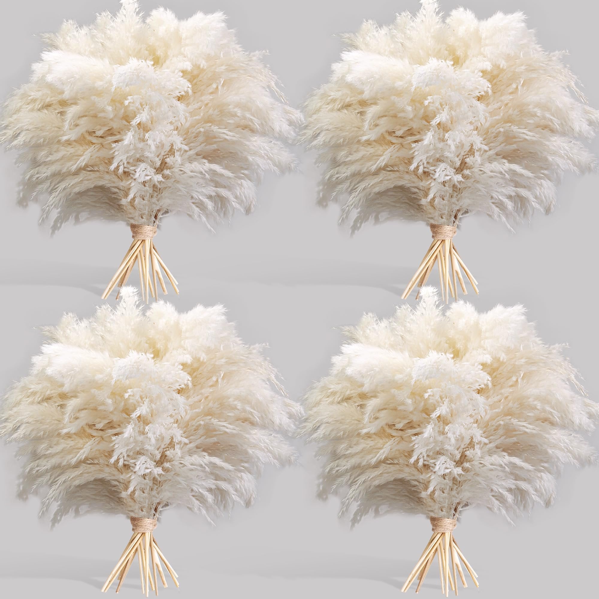 Four bouquets of dried white pampas grass tied with twine, arranged on a light gray background.