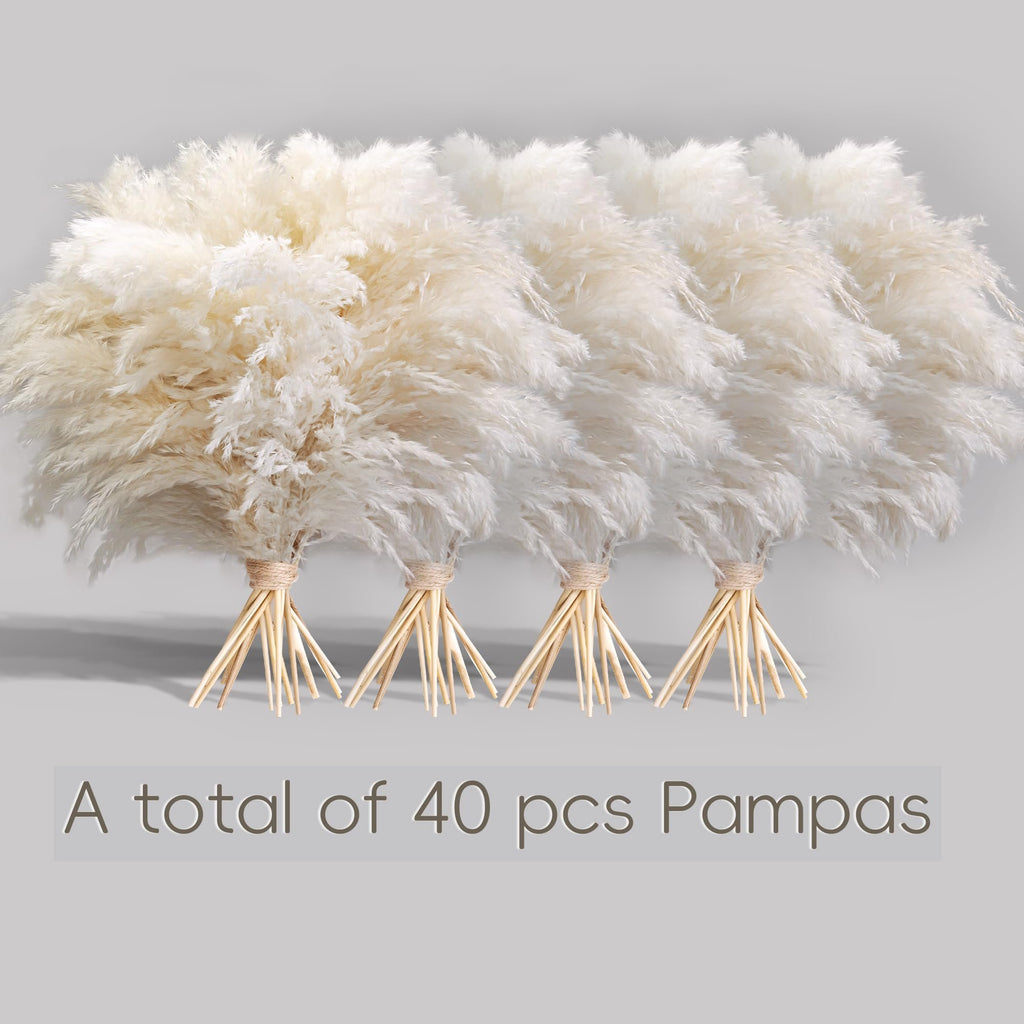 Four bundles of 40 white pampas grass stems tied with twine, displayed on a light gray background.