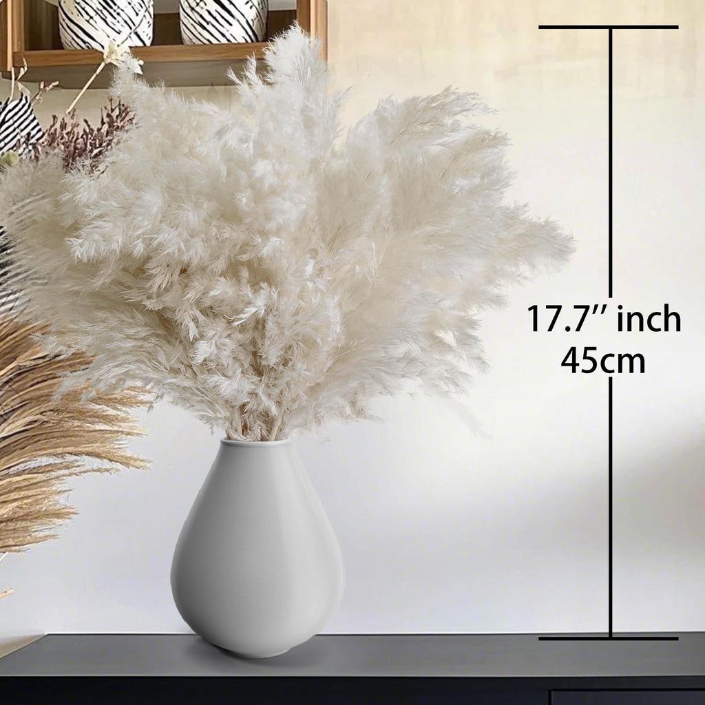 White pampas grass in a vase with a height measurement overlay of 17.7 inches (45cm)
