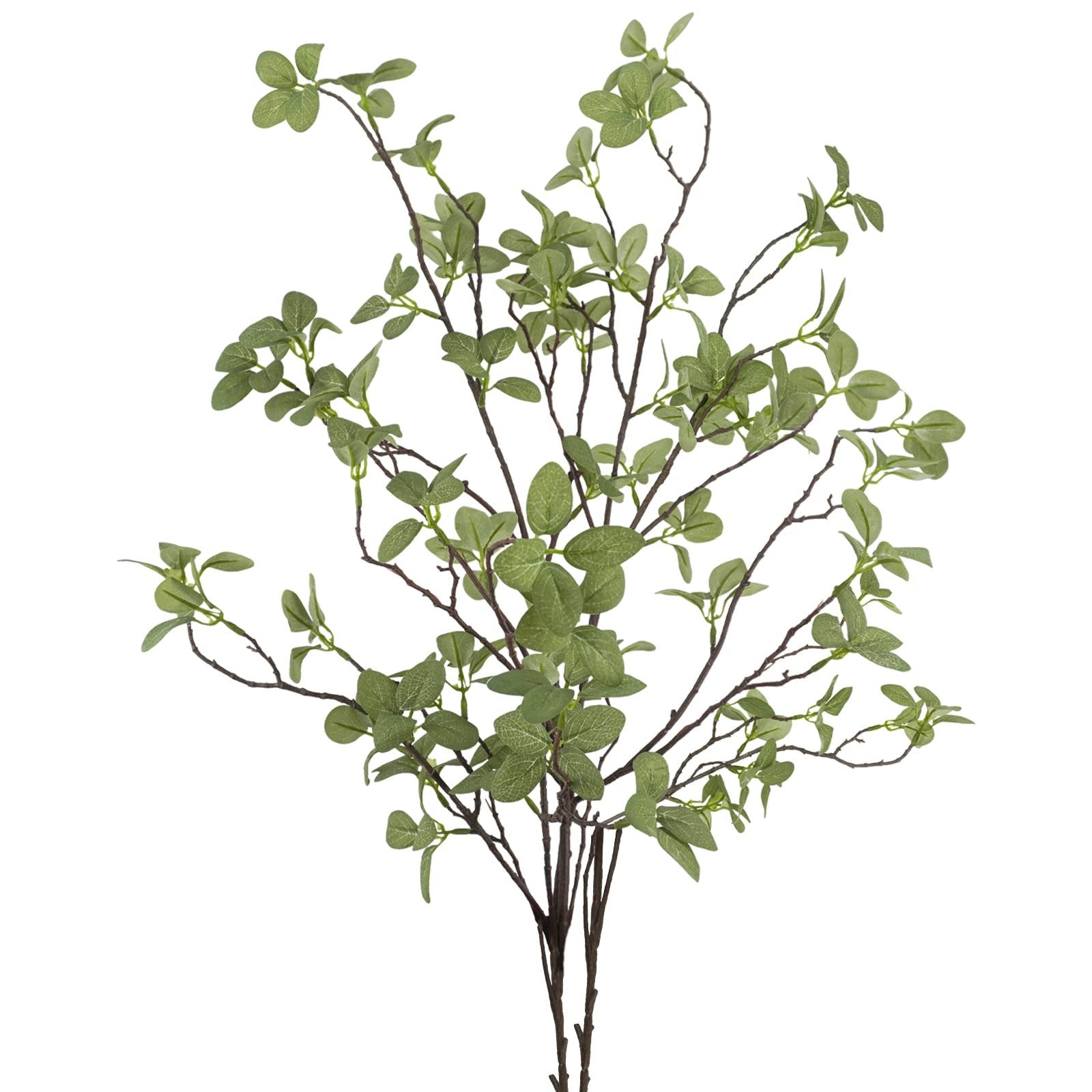 Artificial ficus twig with green leaves on a white background, presented from a low angle.