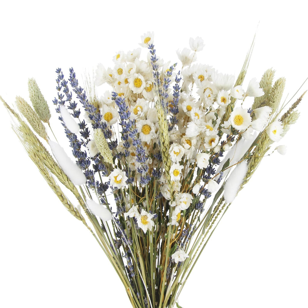 Dried flower bouquet with lavender, daisies, bunny tails, wheat, and pampas grass on a white background.