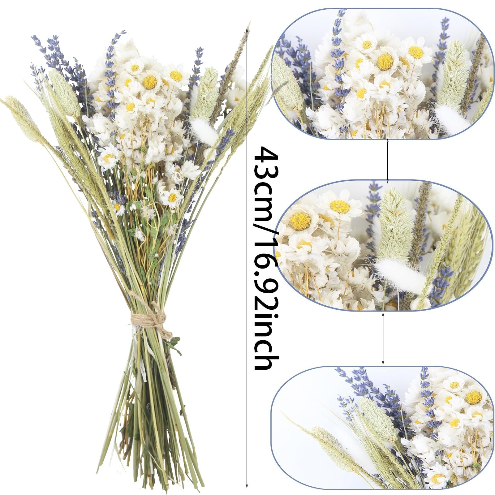 Dried flower bouquet with lavender, daisies, bunny tails, wheat, and jewel grass tied with twine, shown with close-up insets and height measurement.