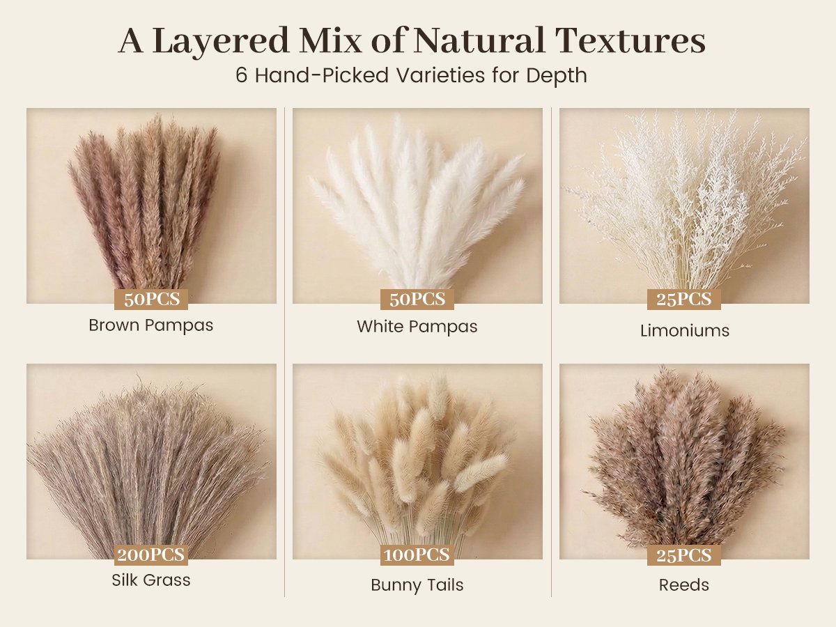 Six varieties of dried pampas grass and decorative reeds arranged in a grid, each labeled with quantity and type.