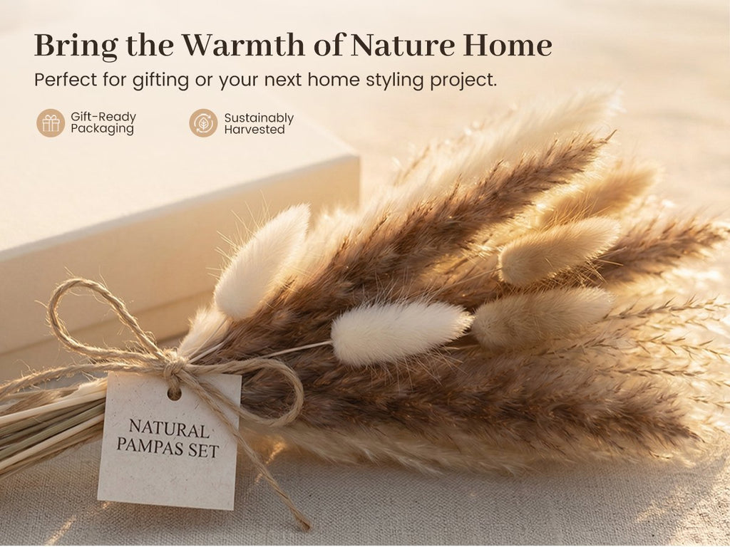 Natural dried pampas grass and bunny tail decor set tied with twine and a tag, next to a gift box.