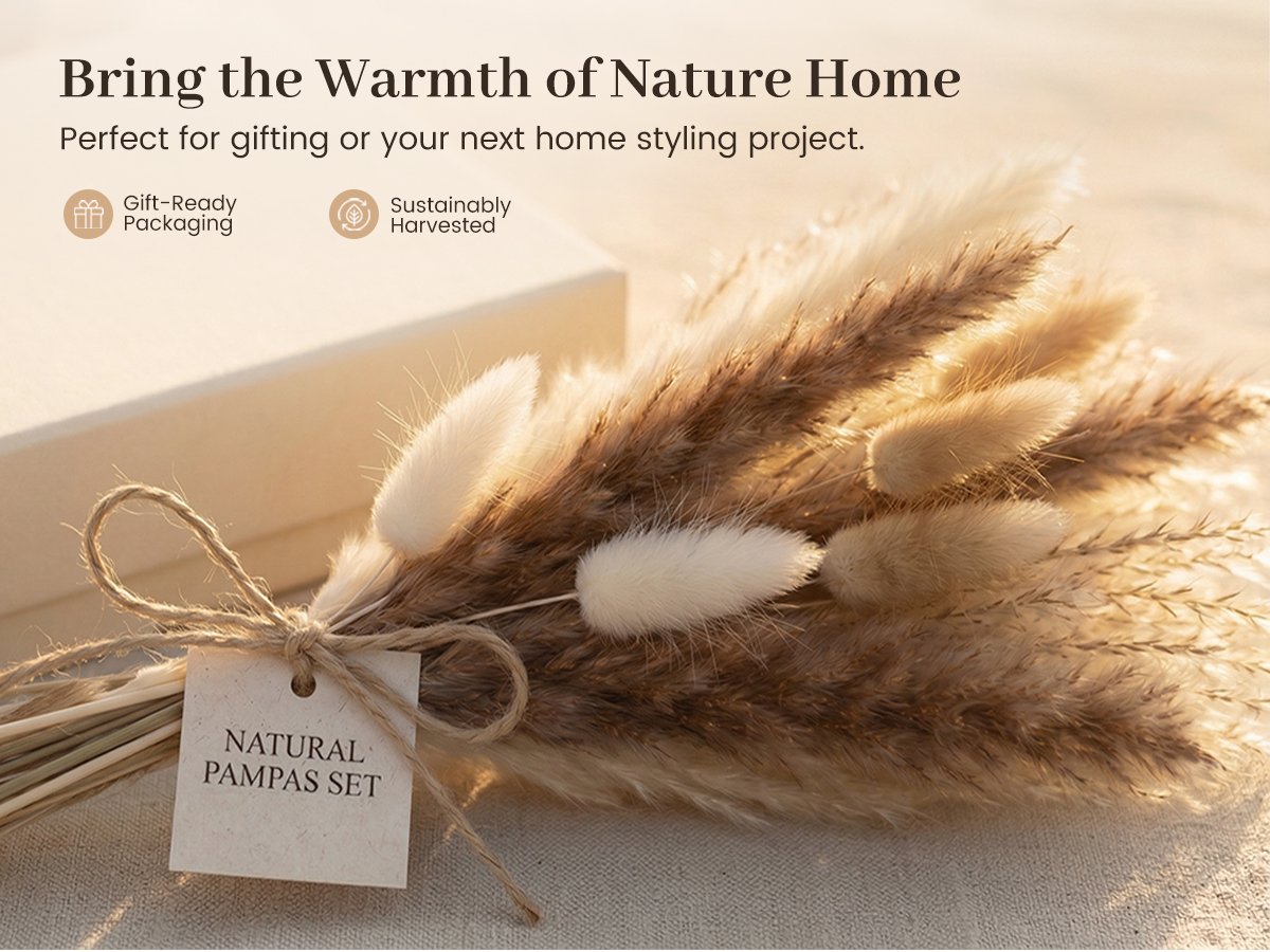 Natural dried pampas grass and bunny tail decor set tied with twine and a tag, next to a gift box.