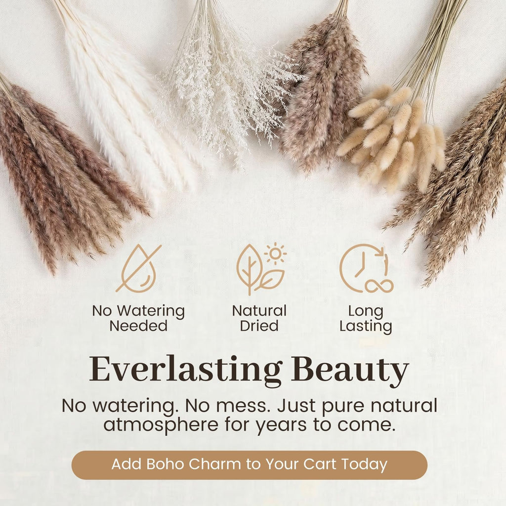Assortment of dried pampas grass and bunny tail decor with text overlays about care and beauty.