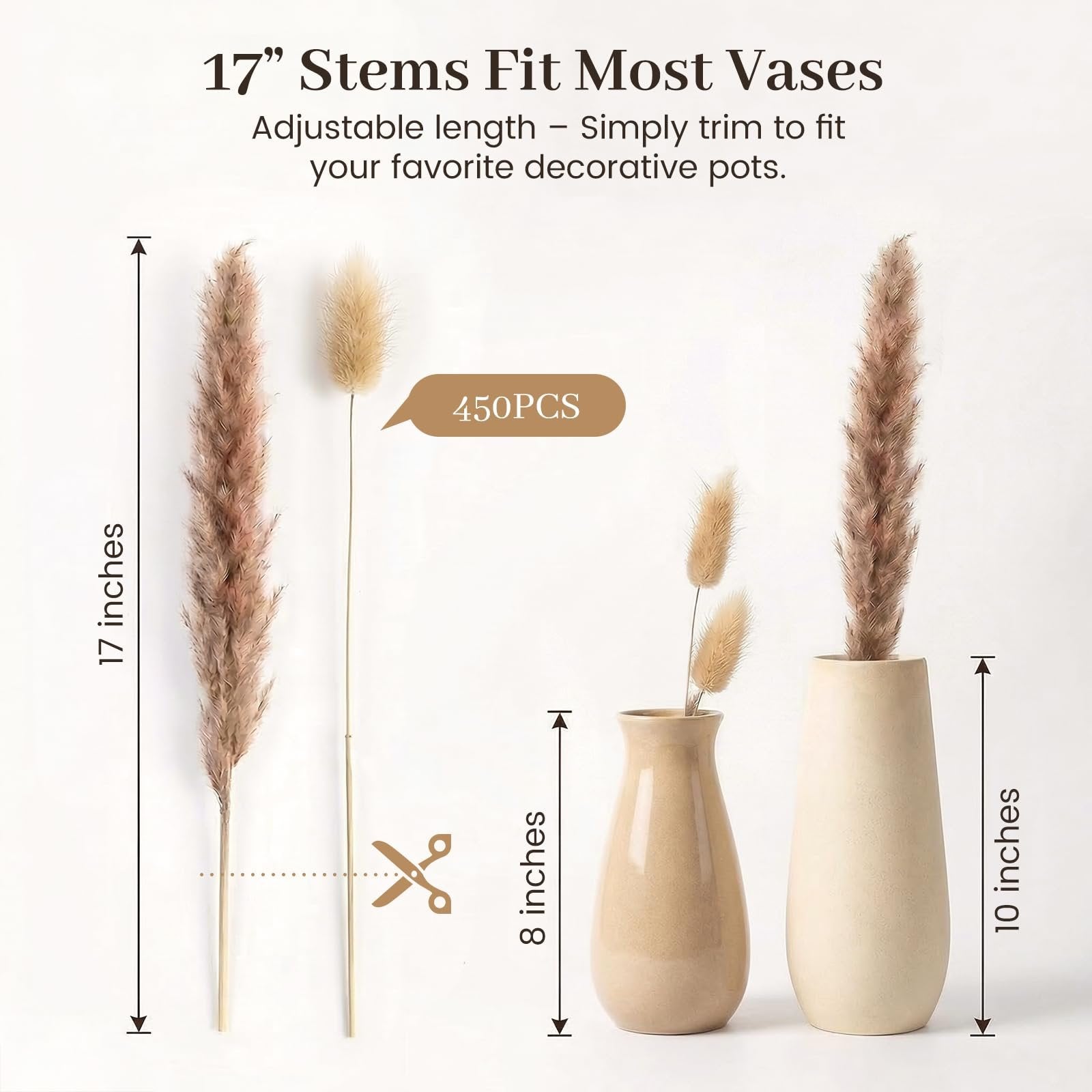 Dried pampas grass and bunny tail stems with measurement indicators and vases