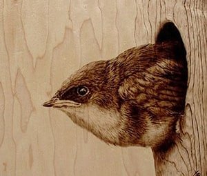 Wood burning art of a bird's head emerging from a tree hole
