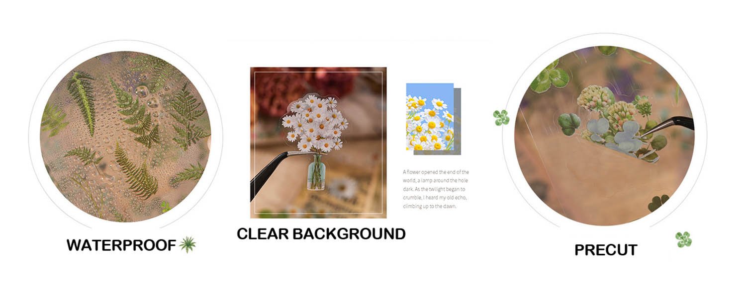 Collage of three circular images showing botanical stickers: ferns with water droplets, a bouquet of daisies in a tiny vase, and clover flowers being picked with tweezers.