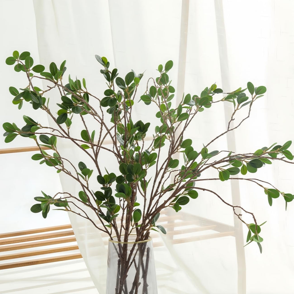 Four faux ficus twig branches with green leaves in a clear vase against a white curtain.