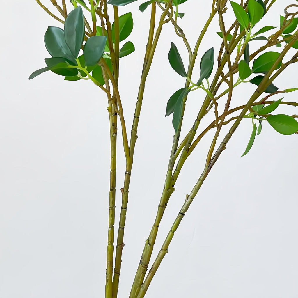 Close-up of faux ficus twig branches with green leaves against a white background.