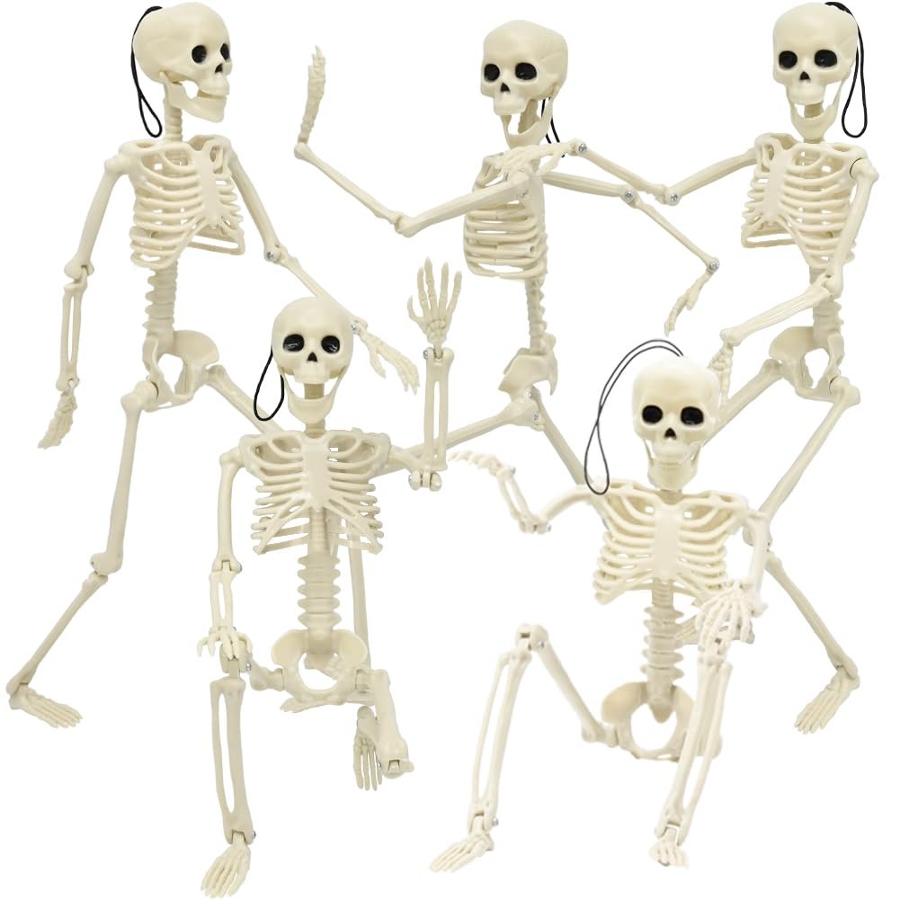 Five poseable Halloween skeletons arranged in a group against a white background.
