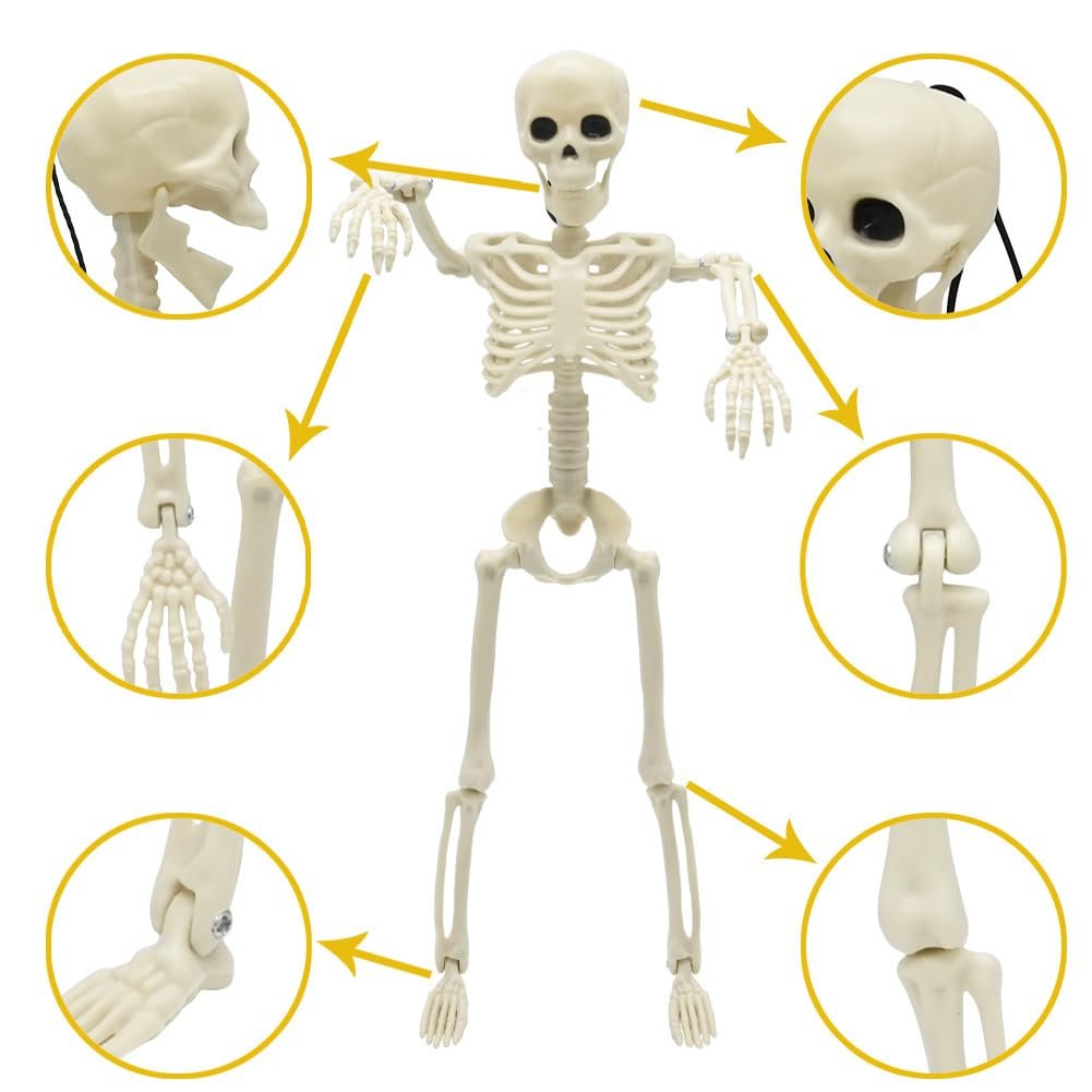 Full body skeleton with poseable joints, shown with close-up insets of head, hands, elbows, and feet.