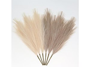 Five artificial pampas grass stems in beige and taupe arranged in a fan shape against a white background.