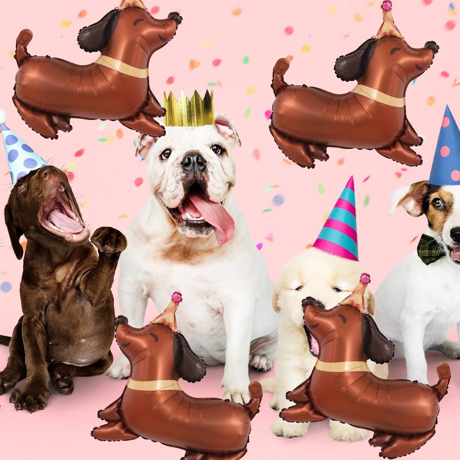 Group of dogs wearing party hats with dachshund shaped balloons on pink background with confetti