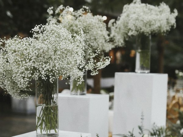 Three vases of white artificial baby's breath flowers arranged on white pedestals