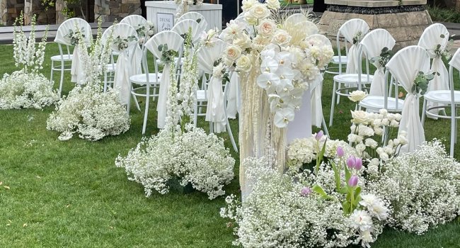 Wedding ceremony setup with white chairs decorated with fabric and flowers on a grassy lawn, featuring abundant white baby's breath arrangements.