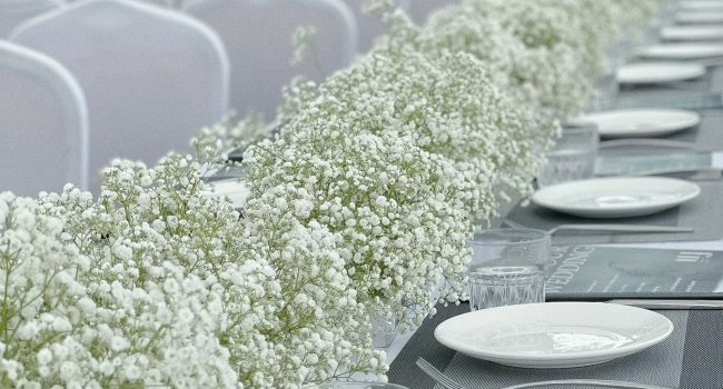 Artificial baby's breath flowers arranged on a table setting with plates and glasses
