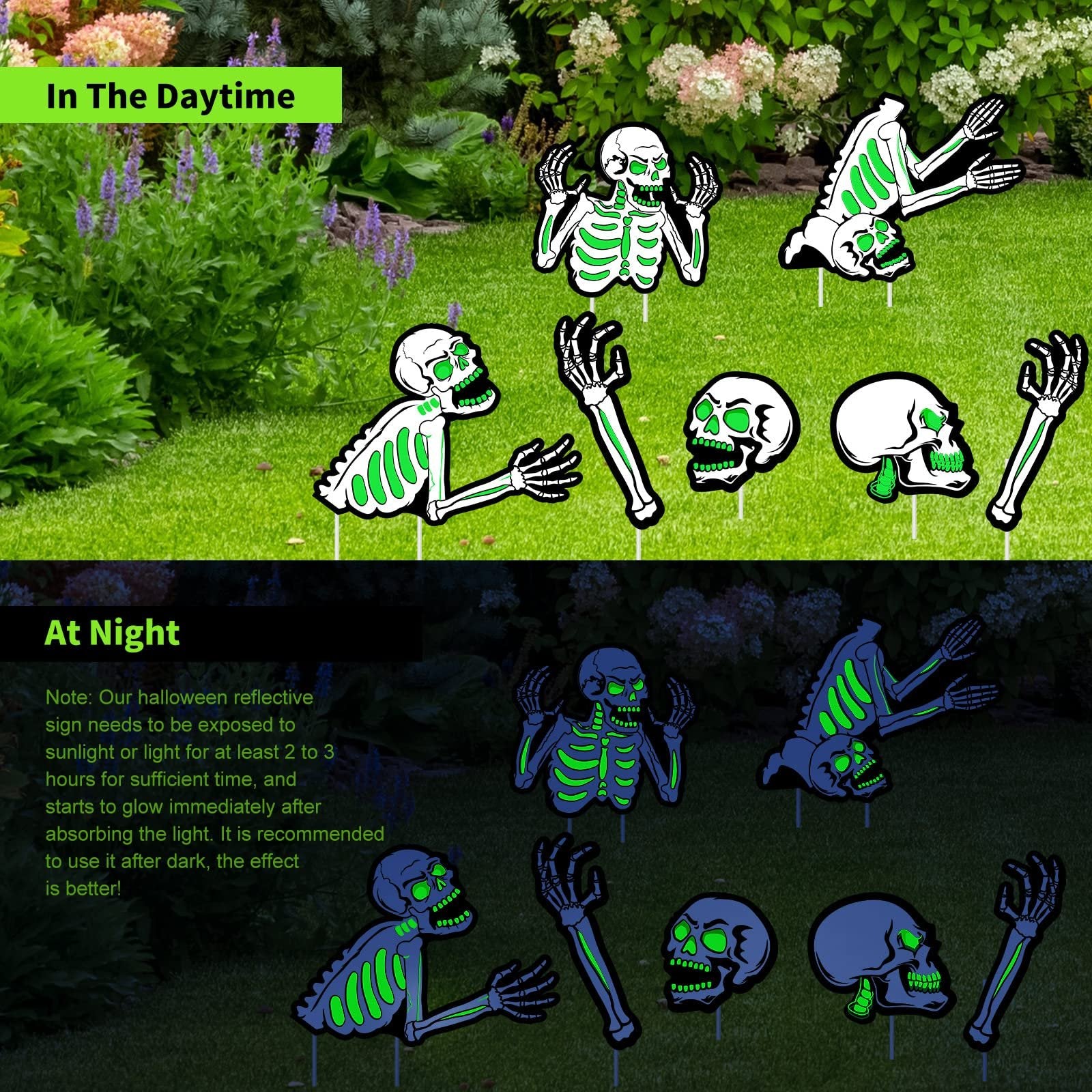 Halloween skeleton yard signs shown in daytime and nighttime glow settings in a garden lawn.