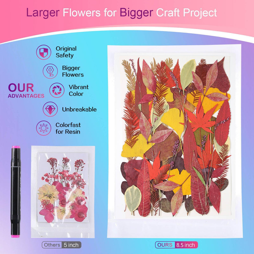 Assortment of dried pressed leaves in fall colors, displayed with a marker and comparison image.