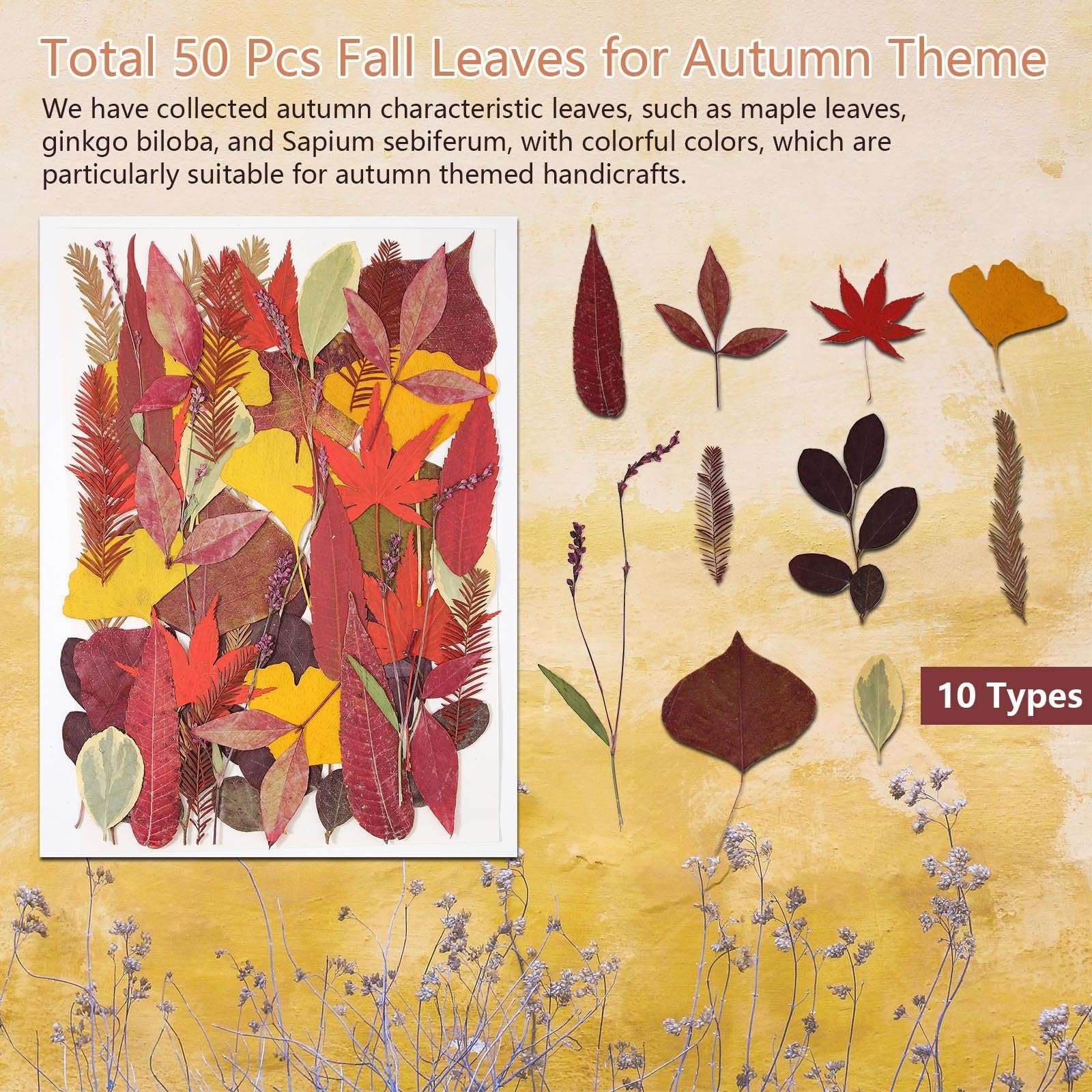 Assortment of dried pressed fall leaves in various autumn colors, displayed on a textured yellow background with a white border on the left.