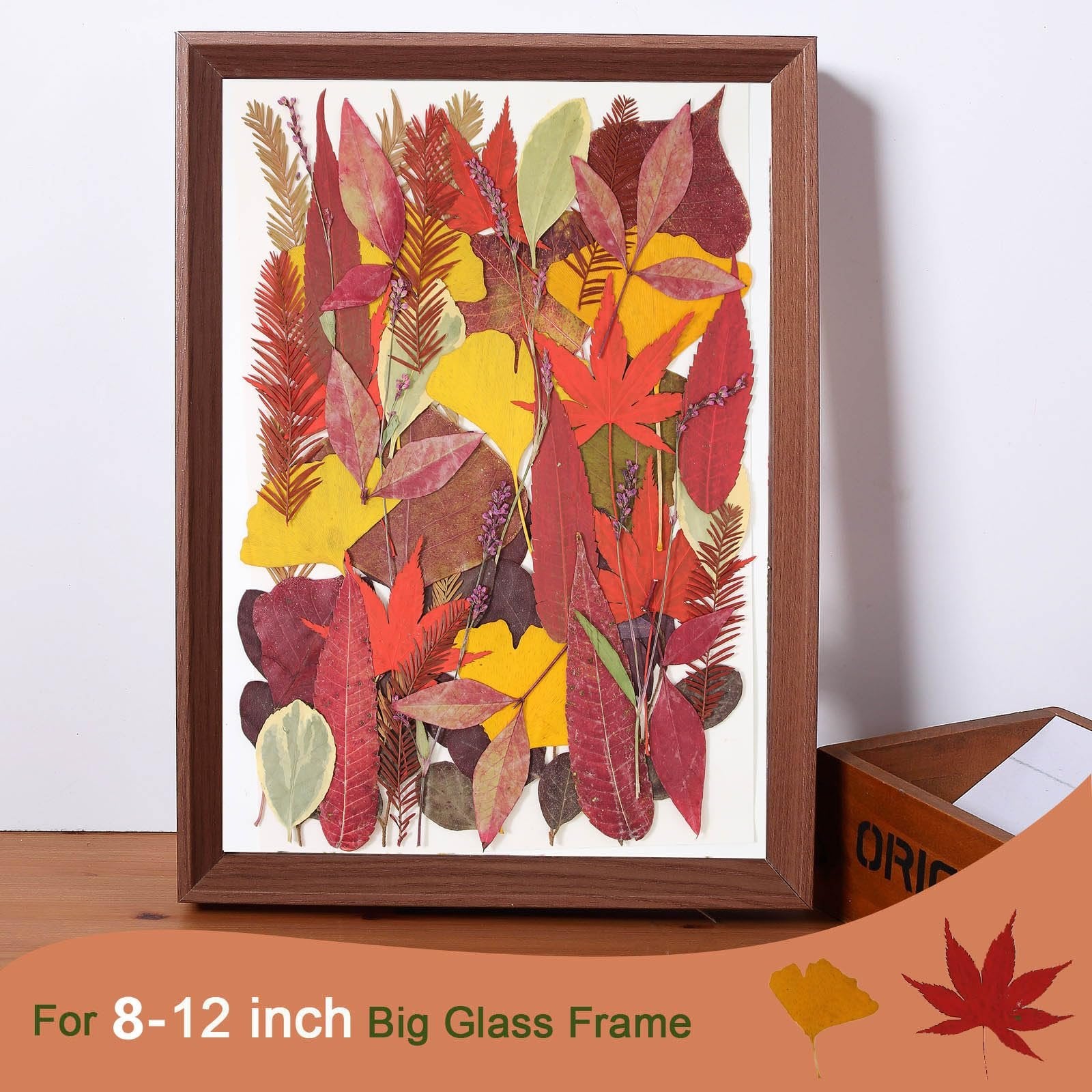 Framed arrangement of assorted dried pressed leaves in fall colors, including red maple and yellow ginkgo leaves.