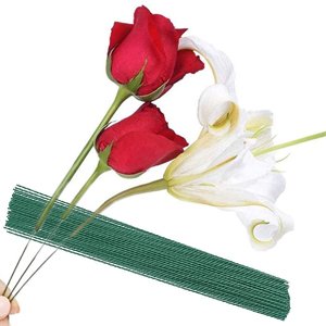 Bundle of dark green floral stem wires with two red roses and a white lily against a white background