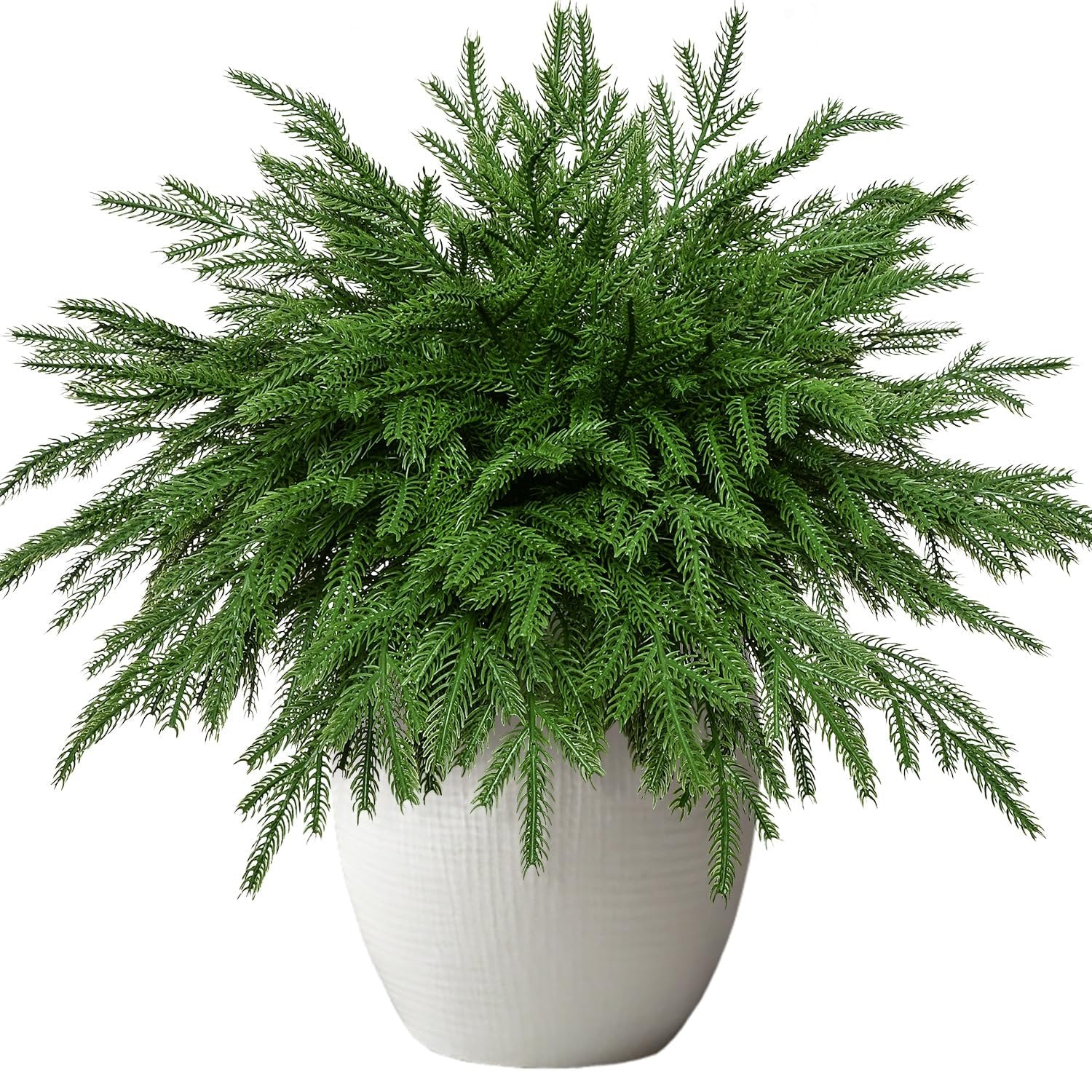 Artificial Norfolk pine stems in a white textured pot, isolated on white background.