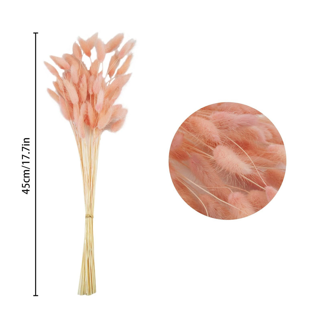 Bunch of dried pink bunny tail grass with a close-up inset and a height measurement of 45cm/17.7in.