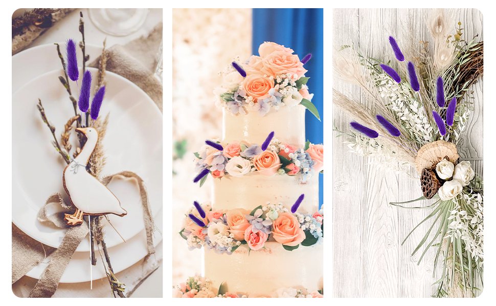 Collage of dried bunny tail grass arrangements: on a plate with a goose cookie, decorating a wedding cake, and in a boho wreath.