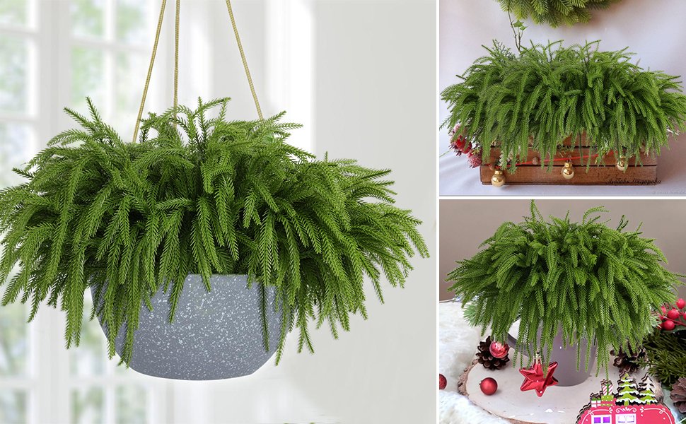 Collage of artificial Norfolk pine branches in various decorative settings, including a hanging planter and a wooden crate.