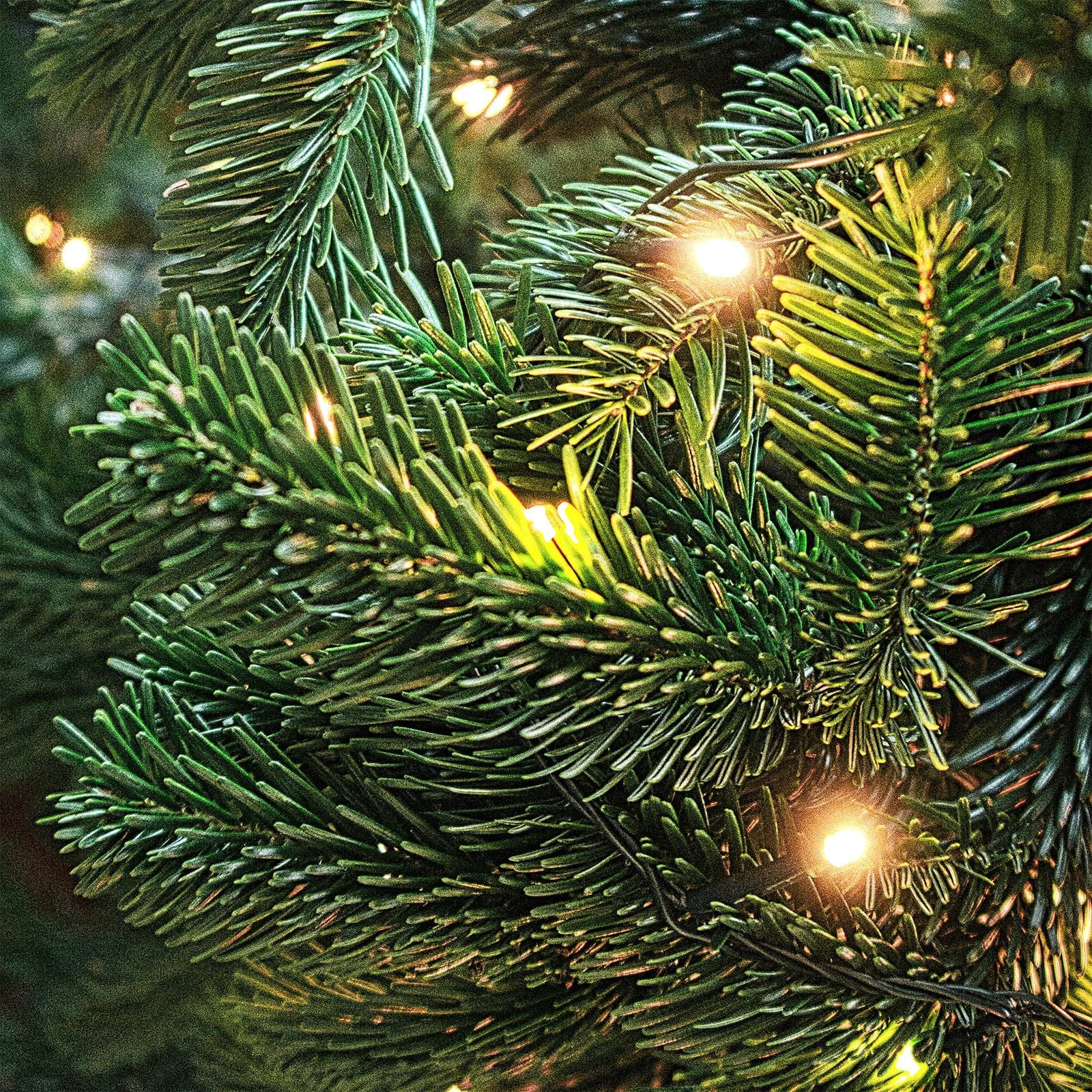 Close-up of artificial pine branches with small warm LED lights woven through them.