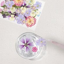 Dried pressed flowers and leaves being placed into a clear liquid with tweezers, top view. A sheet of pressed flowers is in the background.