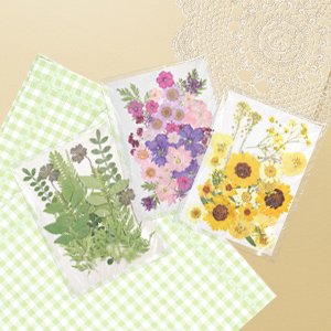 Three clear packages of assorted dried pressed flowers and leaves arranged on a light brown background with green gingham and white lace accents.
