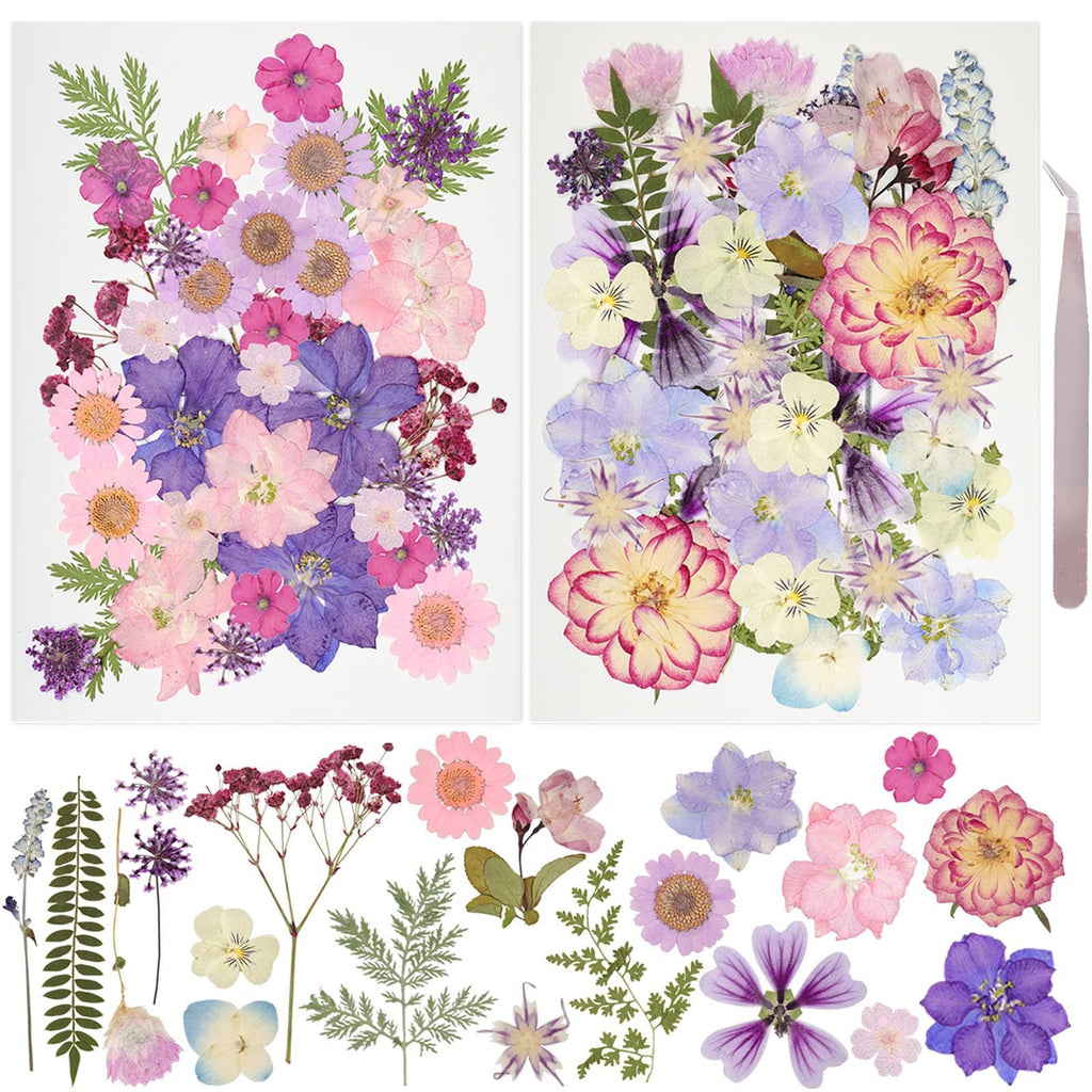 Assortment of colorful dried pressed flowers and leaves with tweezers, displayed in arrangements and individually.