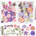 Assortment of colorful dried pressed flowers and leaves with tweezers, displayed in arrangements and individually.