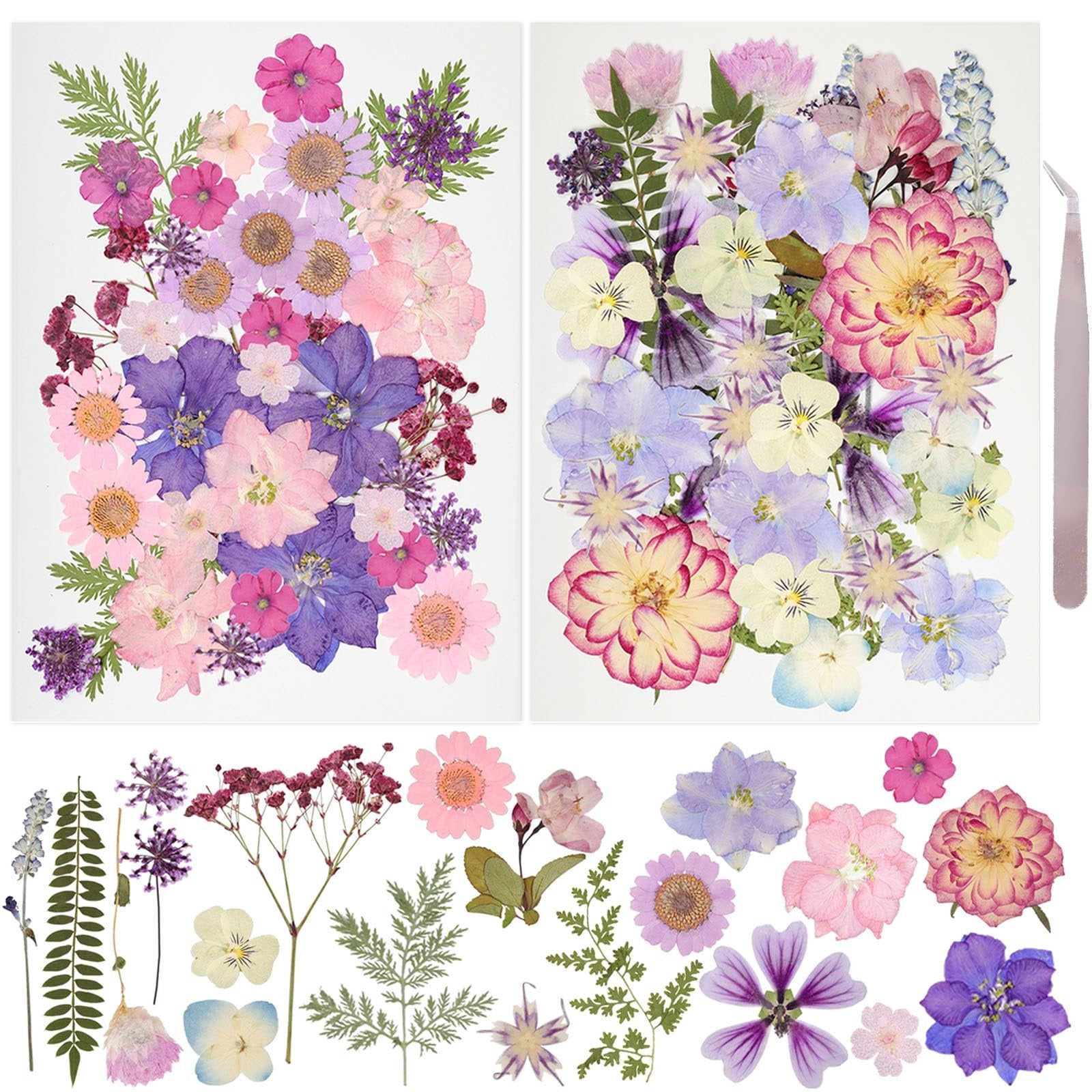 Assortment of colorful dried pressed flowers and leaves with tweezers, displayed in arrangements and individually.