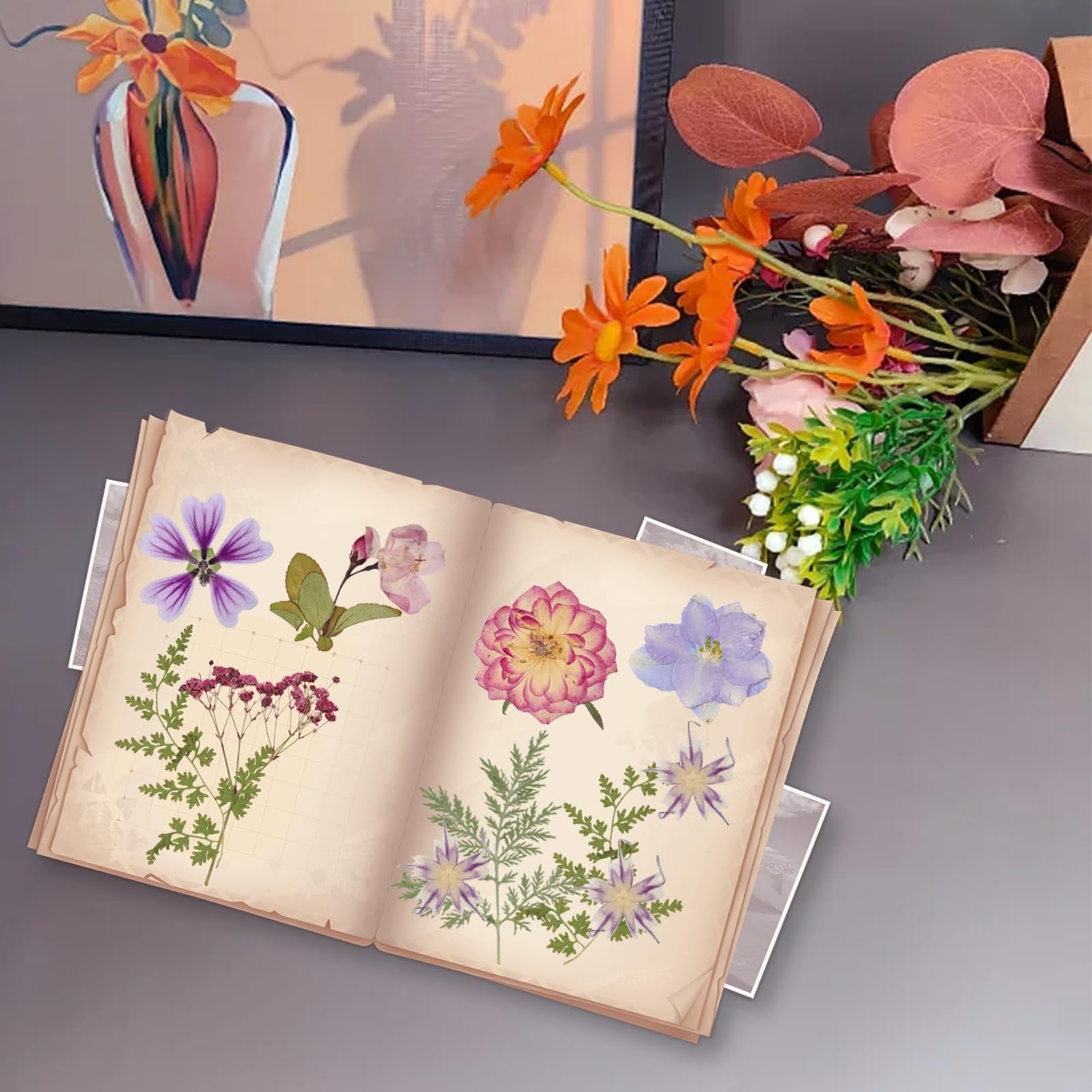 Open book displaying various pressed flowers and leaves on aged paper pages.
