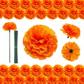 50 orange marigold flower heads and green stems for decor
