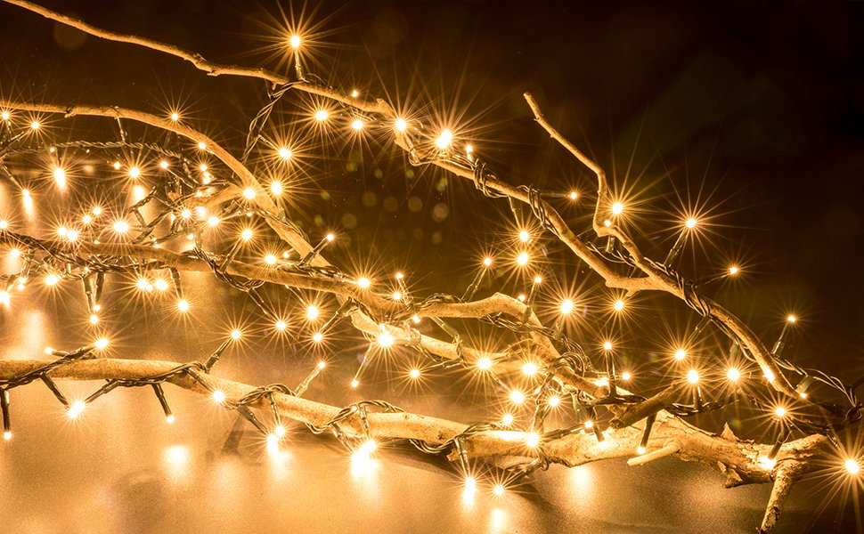 Warm white LED string lights draped over natural branches, creating a festive glow.