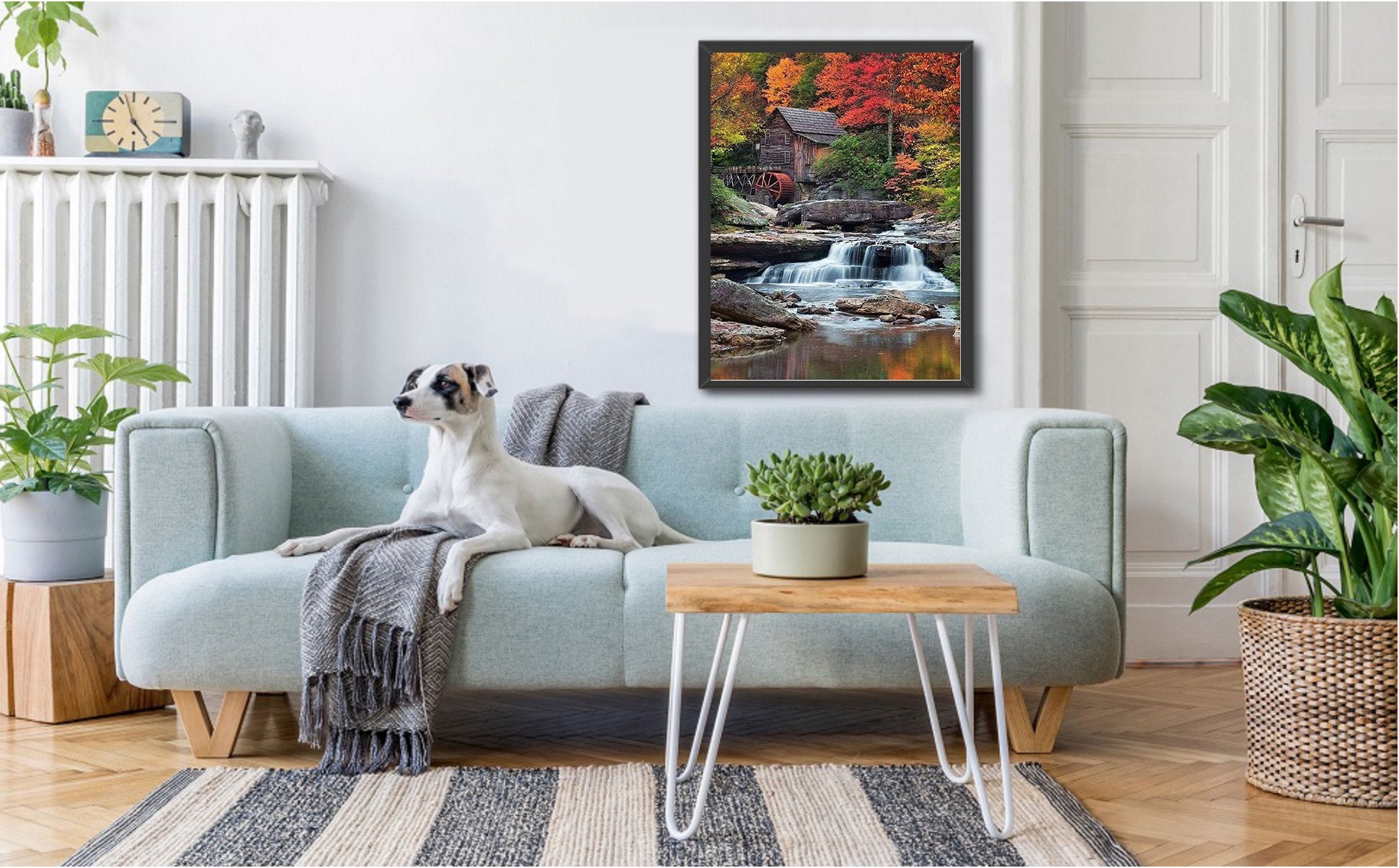 Living room scene with a dog on a sofa and a framed waterfall painting on the wall