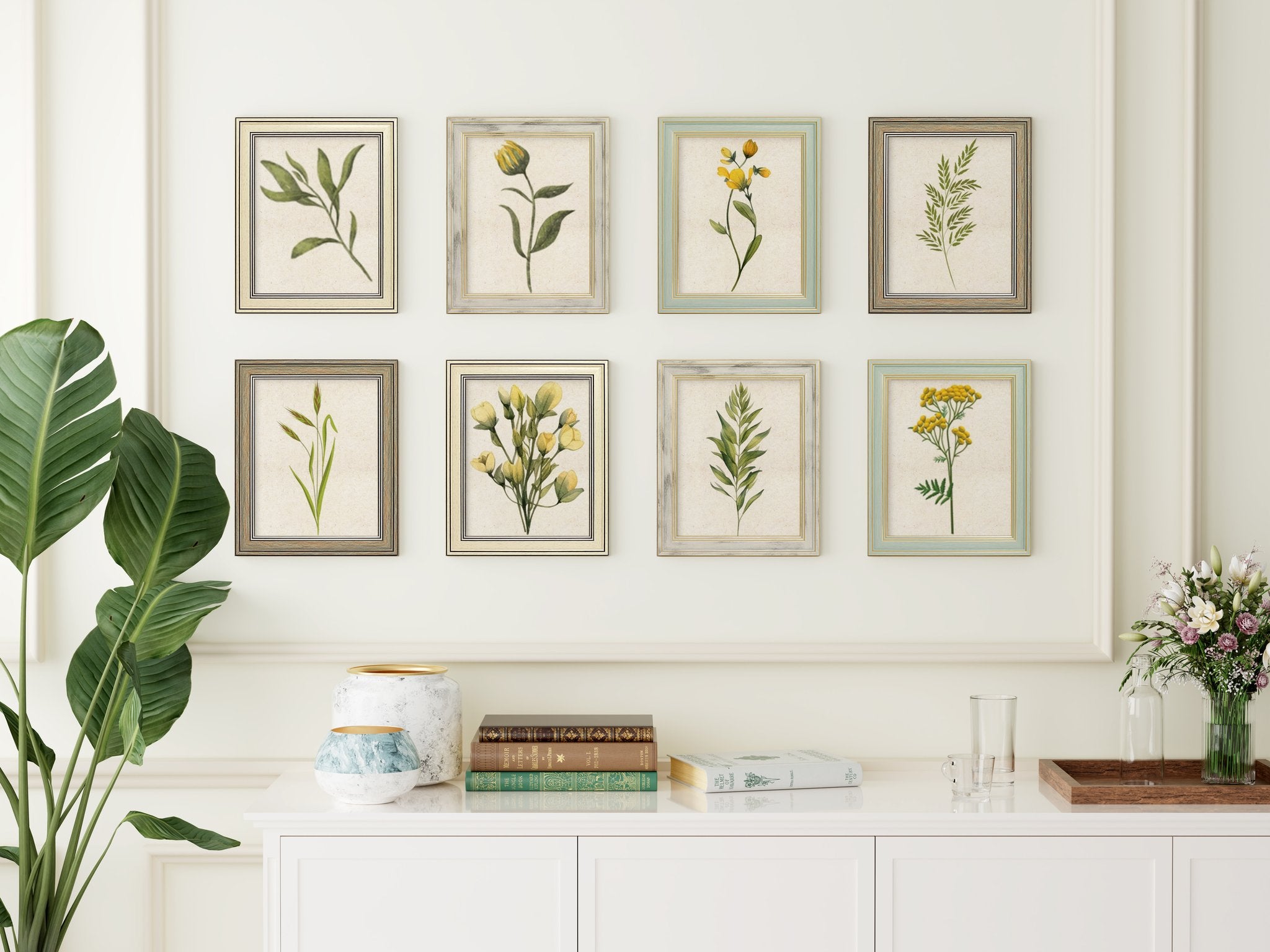 Eight framed botanical prints arranged on a wall above a white cabinet, with a large plant on the left and a vase and books on the cabinet.