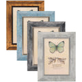 Set of four rustic picture frames in gold, blue, gray, and white finishes, each displaying a butterfly graphic.