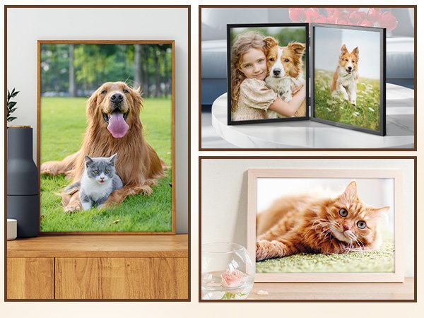 Collage of three picture frames displaying pets and children. Top left: golden retriever and kitten on grass. Top right: double frame with girl and dog, and dog running in field. Bottom: orange cat lying on green carpet.