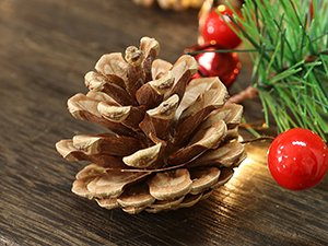 Close-up of a natural pinecone on a wooden surface with a sprig of artificial pine needles, red berries, and warm white LED lights.